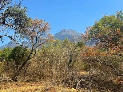 Vacant Land For Sale in Hoedspruit - z9E1.webp