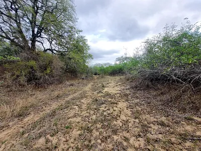 Vacant Land For Sale in Moditlo Nature Reserve, Hoedspruit - JIN6.webp