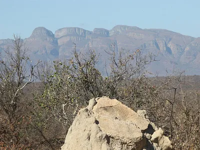 Vacant Land For Sale in Lissataba Private Nature Reserve, Hoedspruit - Sof4.webp