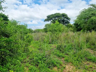 Vacant Land For Sale in Moditlo Nature Reserve, Hoedspruit - SvlG.webp