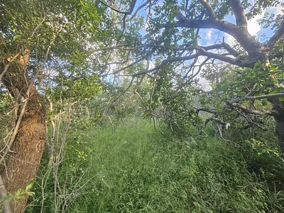 Vacant Land For Sale in Moditlo Nature Reserve, Hoedspruit - RITv.webp