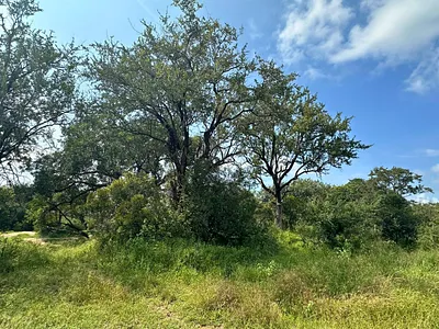 Vacant Land For Sale in Moditlo Nature Reserve, Hoedspruit - YIhW.webp