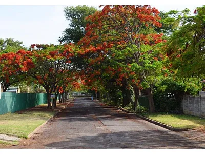2 Bedroom Townhouse For Sale in Bela Bela - BiYV.webp
