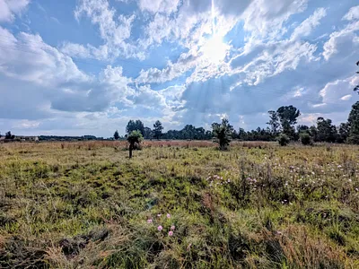 Vacant Land For Sale in Meyerton - U1jy.webp