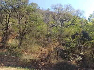 Vacant Land For Sale in Johannesburg - 2RRM.webp