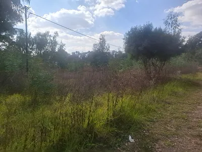 Vacant Land For Sale in Benoni - cFOs.webp