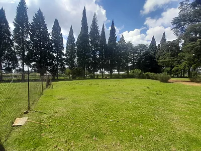 3 Bedroom House For Sale in Springs - HTCT.webp