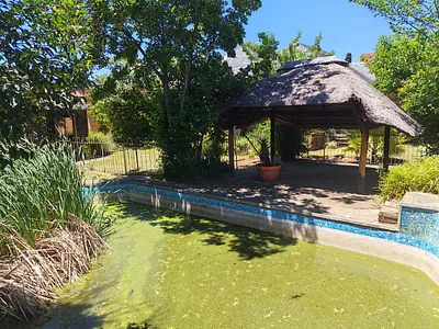 4 Bedroom House For Sale in Springs - XDDt.webp