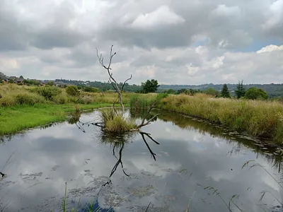 1 Bedroom Apartment To Rent in Randburg - TlQa.webp