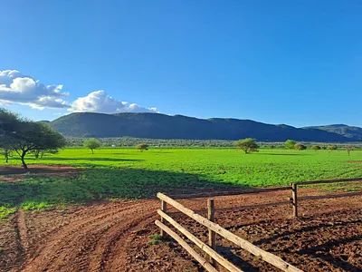 Farm For Sale in Mokopane - g2jQ.webp