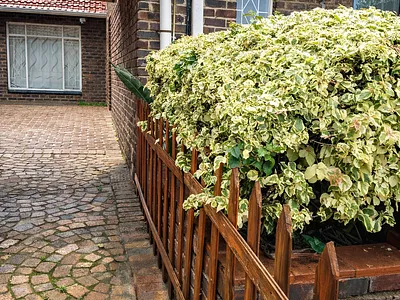 1 Bedroom Apartment To Rent in Sandton - NNKH.webp