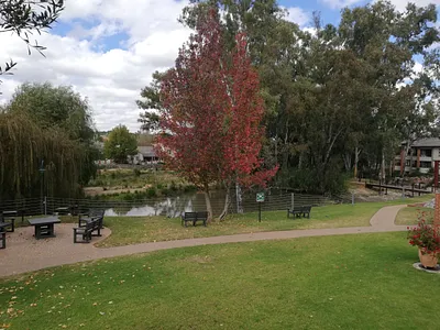1 Bedroom Apartment To Rent in Sandton - img