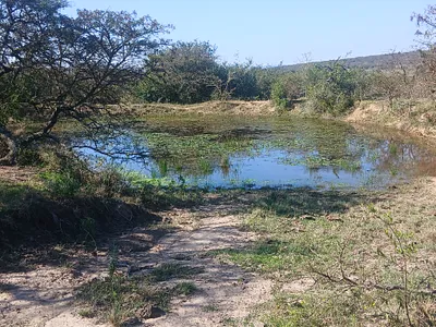 Farm For Sale in King Williams Town - img