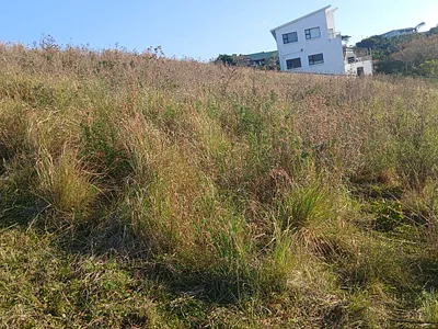 Vacant Land For Sale in Morgans Bay - 3Cyc.webp