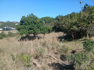 Vacant Land For Sale in Morgans Bay - WqST.webp