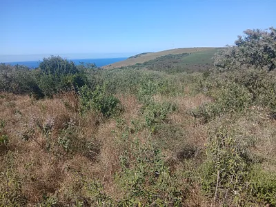 Vacant Land For Sale in Haga Haga - img