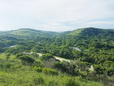 Vacant Land For Sale in Morgans Bay - img