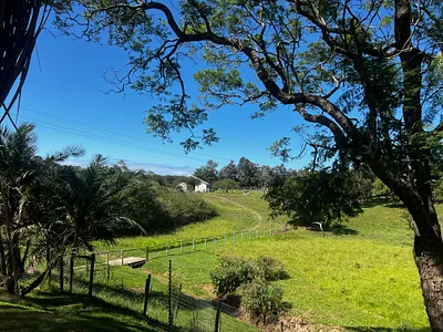 4 Bedroom House For Sale in East London - n5vb.webp