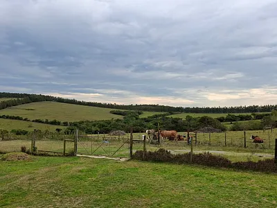 8 Bedroom House For Sale in East London - u3PX.webp