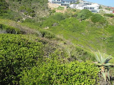 Vacant Land For Sale in Mossel Bay - IcHL.webp
