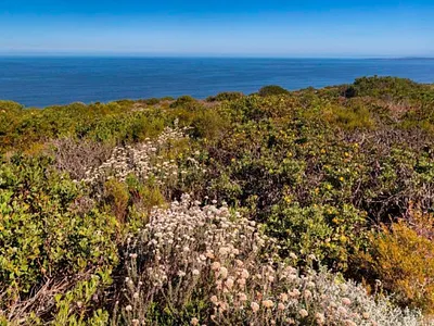 Vacant Land For Sale in Mossel Bay - YmAk.webp