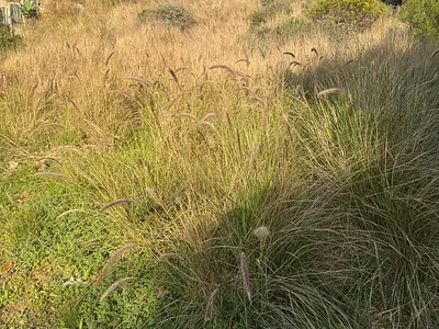 Vacant Land For Sale in Mossel Bay - QNfk.webp