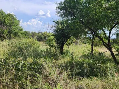 Farm For Sale in Walmansthal AH, Wonderboom - Qca1.webp
