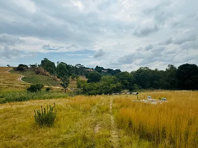 Farm For Sale in Randburg - YNN9.webp