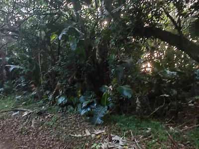 Vacant Land For Sale in Port Edward - EIvS.webp