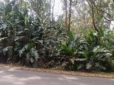 Vacant Land For Sale in Port Edward - Sypm.webp