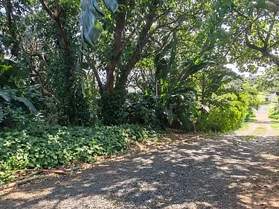 Vacant Land For Sale in Port Edward - 3mwc.webp