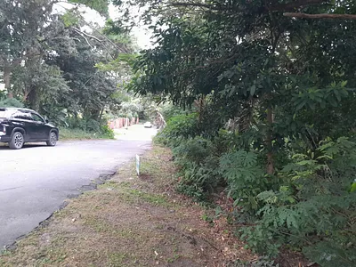 Vacant Land For Sale in Margate - csbD.webp