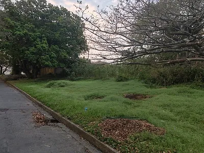 Vacant Land For Sale in Margate - gPIU.webp