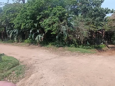 Vacant Land For Sale in Port Edward - N2MX.webp
