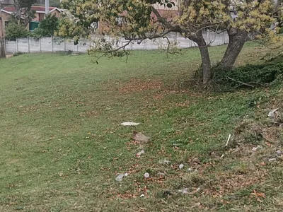 Vacant Land For Sale in Margate - 4Z3X.webp