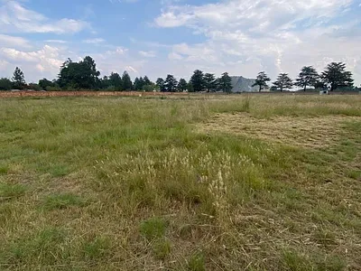 House For Sale in Springs - pQY8.webp