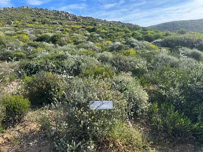 Vacant Land For Sale in St Helena Bay - aCHj.webp