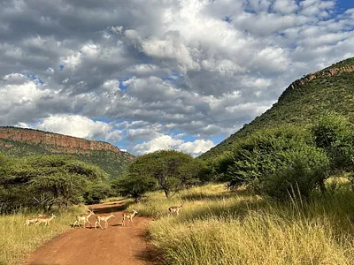 Vacant Land For Sale in Burgersfort - lK6X.webp