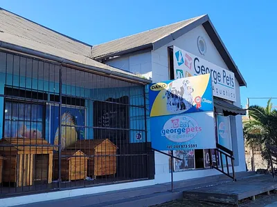 Commercial Property For Sale in George - pRID.webp