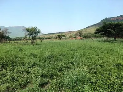 Farm For Sale in Nelspruit - img