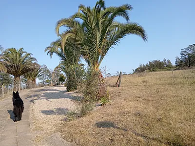 Farm For Sale in Mossel Bay - tei3.webp