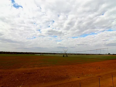 Farm For Sale in Alldays - idUn.webp