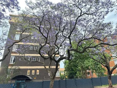 1.5 Bedroom Apartment For Sale in Pretoria - Wc7S.webp