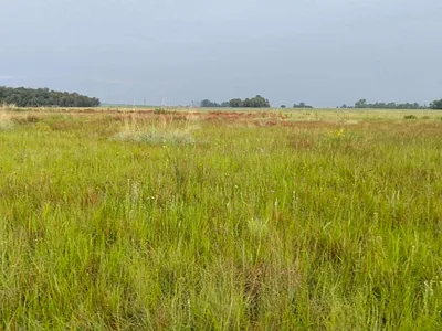 Vacant Land For Sale in Rayton - MdJo.webp