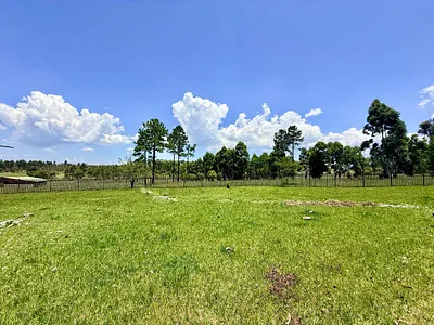 Farm For Sale in Vryheid - wzsJ.webp