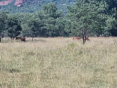 Vacant Land For Sale in Cullinan - 1GVW.webp