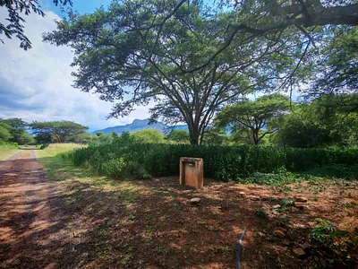 Vacant Land For Sale in Burgersfort - vLJQ.webp