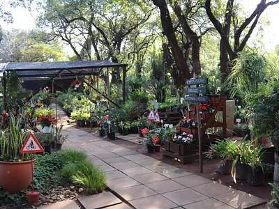 Commercial Property For Sale in Tzaneen - SgAh.webp