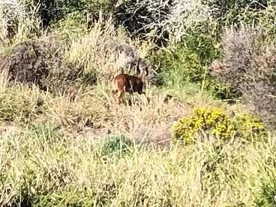 Vacant Land For Sale in Mossel Bay - hRil.webp