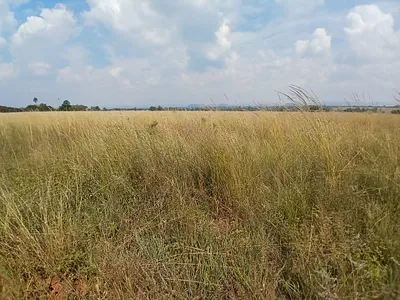 Vacant Land For Sale in Pretoria - UYdo.webp